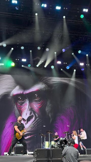 Guano Apes en Rock im Park 2024